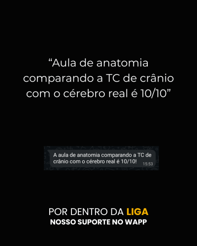 depoimento LIGA - Samir adaptado